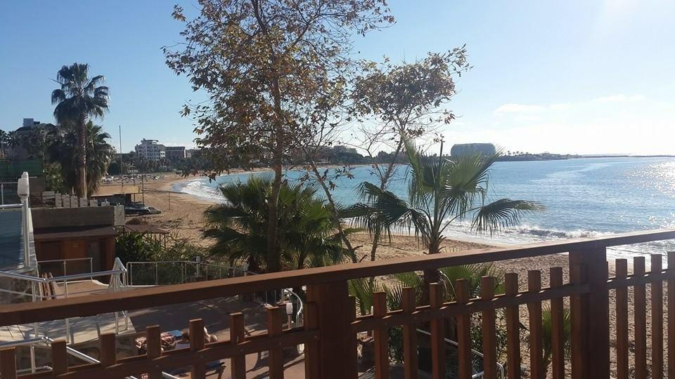 Sea View Studio In Orion Garden Apartment Avsallar Room photo